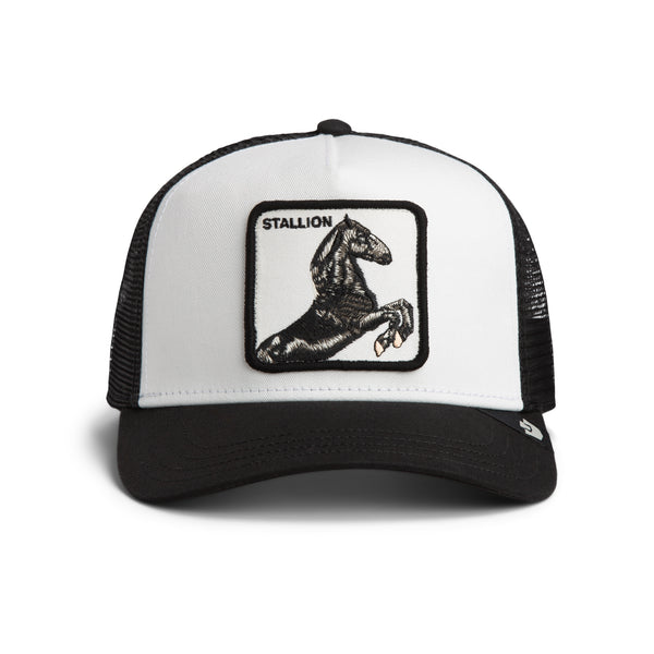 cappello STALLION