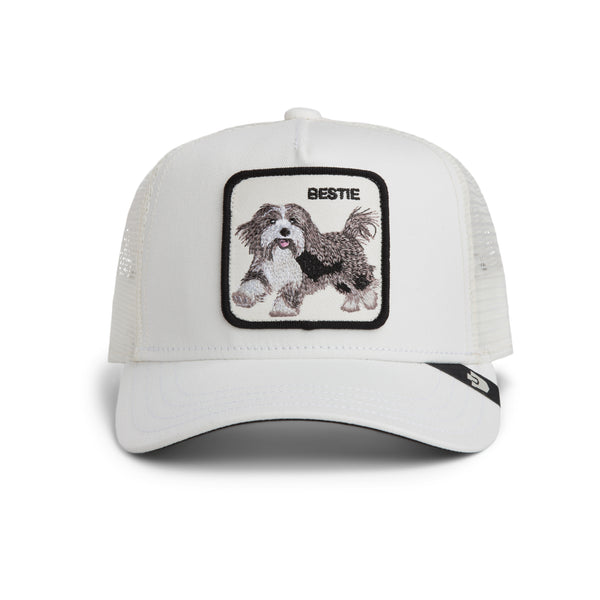 cappello BEASTIE