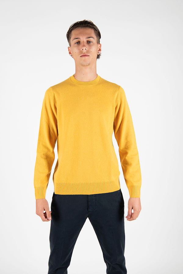 maglia PREMIUM giallo