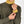 maglia CALEB militare/ocra
