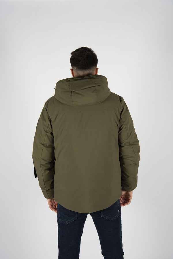 giubbino 501 verde
