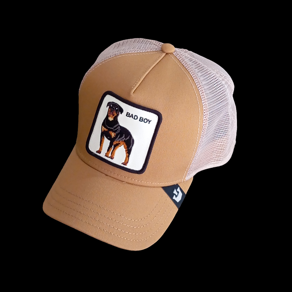BAD BOY cap