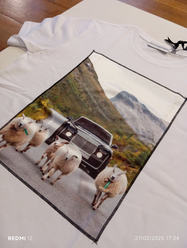 t-shirt RR SHEEP