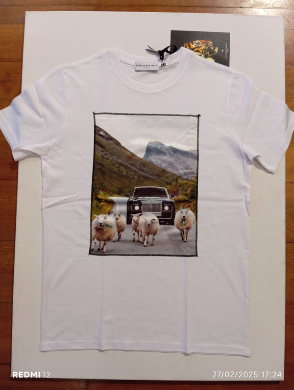 t-shirt RR SHEEP